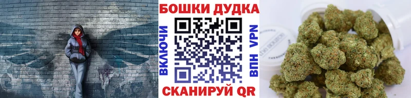 Каннабис индика  Купить закладки  Камызяк 